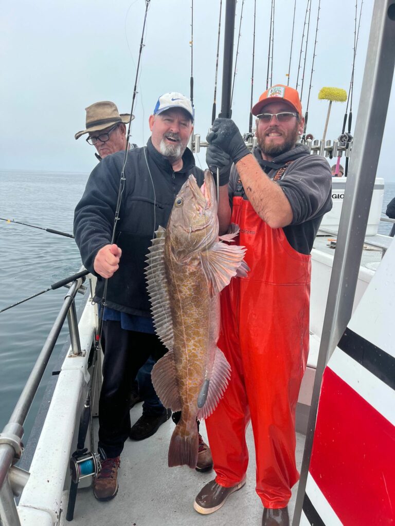 Lingcod Fishing Mutineer Charters Westport