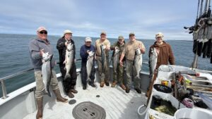 Read more about the article Salmon Time! The Best Run in Ages is Here with Mutineer Charters!