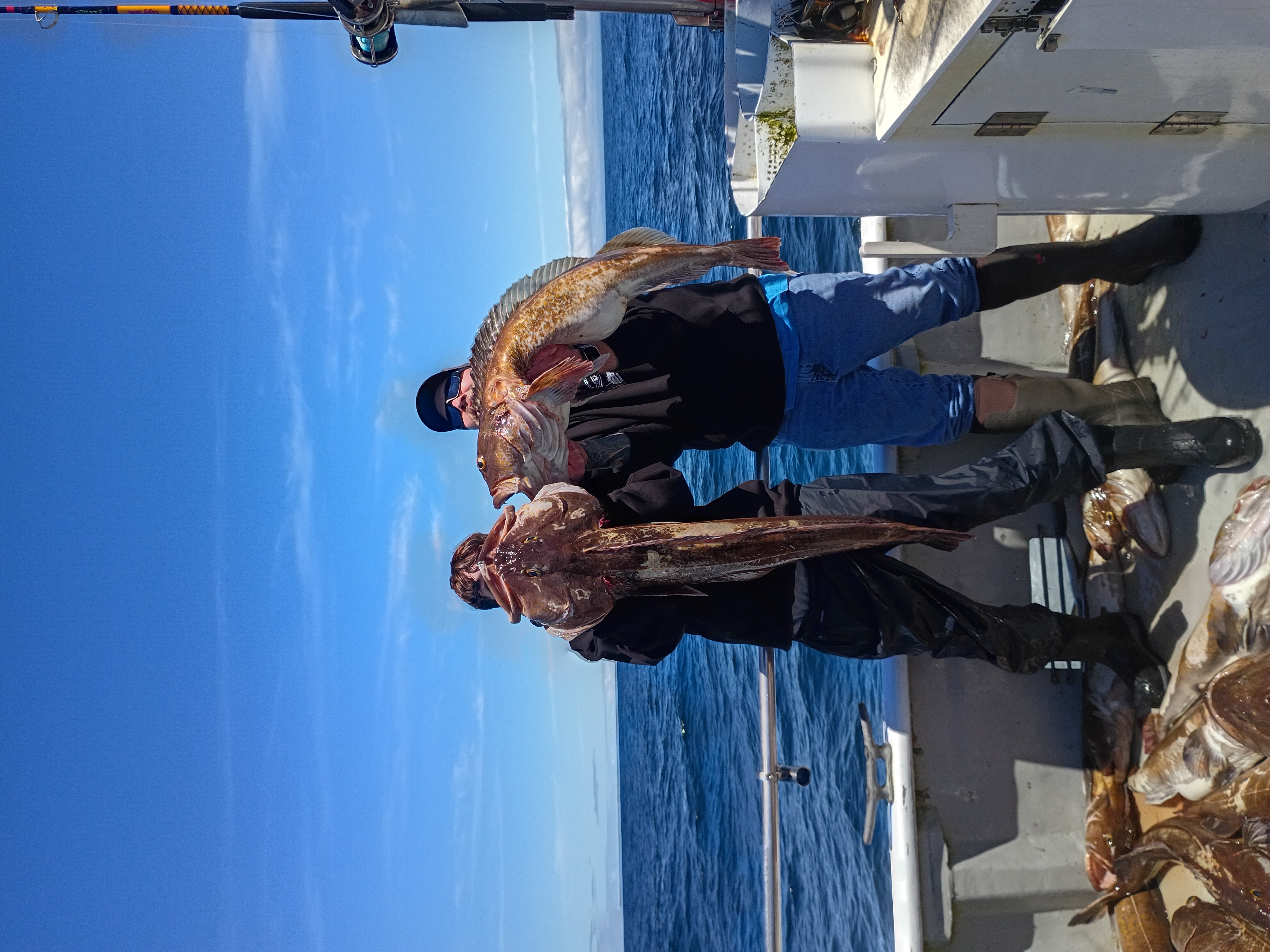 Holding up a lingcod with the wake behind